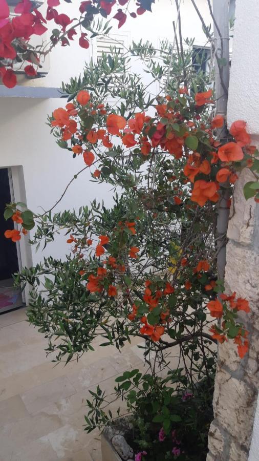 Hvar Deluxe Rooms Hvar Town Zewnętrze zdjęcie